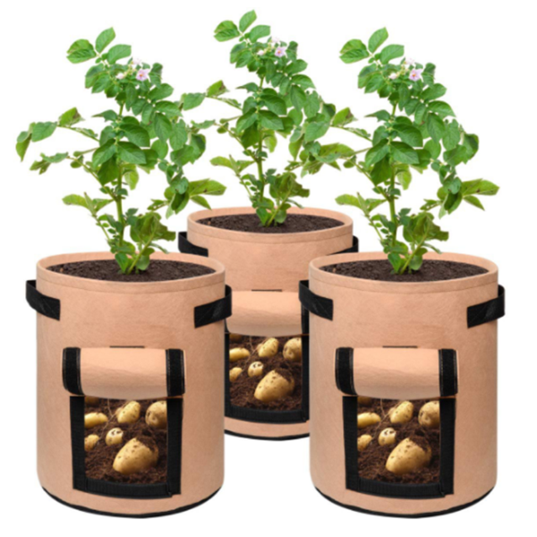 Norvo | Potato Plant Bag