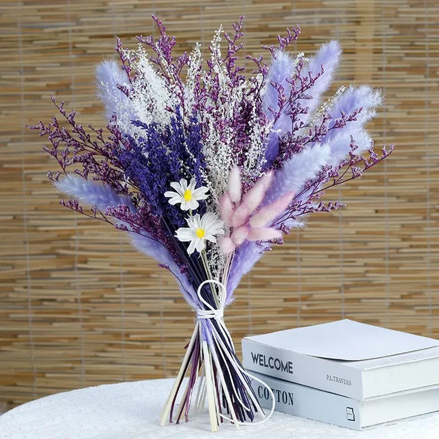 Norvo - Cozy Pampas Grass