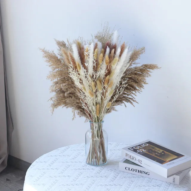 Norvo - Cozy Pampas Grass