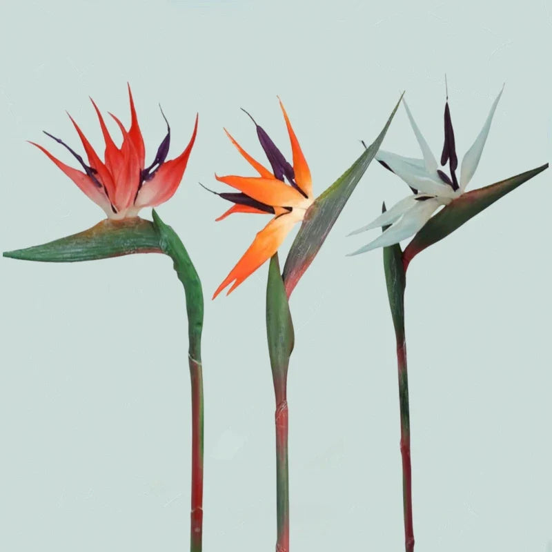 Norvo | Floriva 3 Delt Sett Kunstige Strelitzia | Papegøye Blomster | 24,5 cm Lange Stengler | Dekorasjon for Hjem, Kontor & Arrangementer
