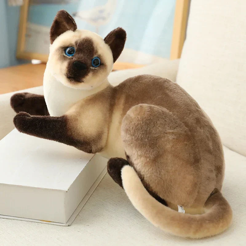 Norvo | Siamesisk katt plush – Luksuriøs myk kattelekekat