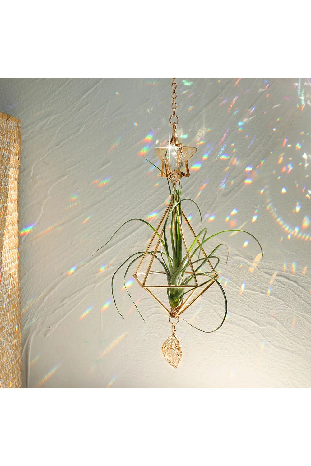 Geometrisk Luftplante Solfanger