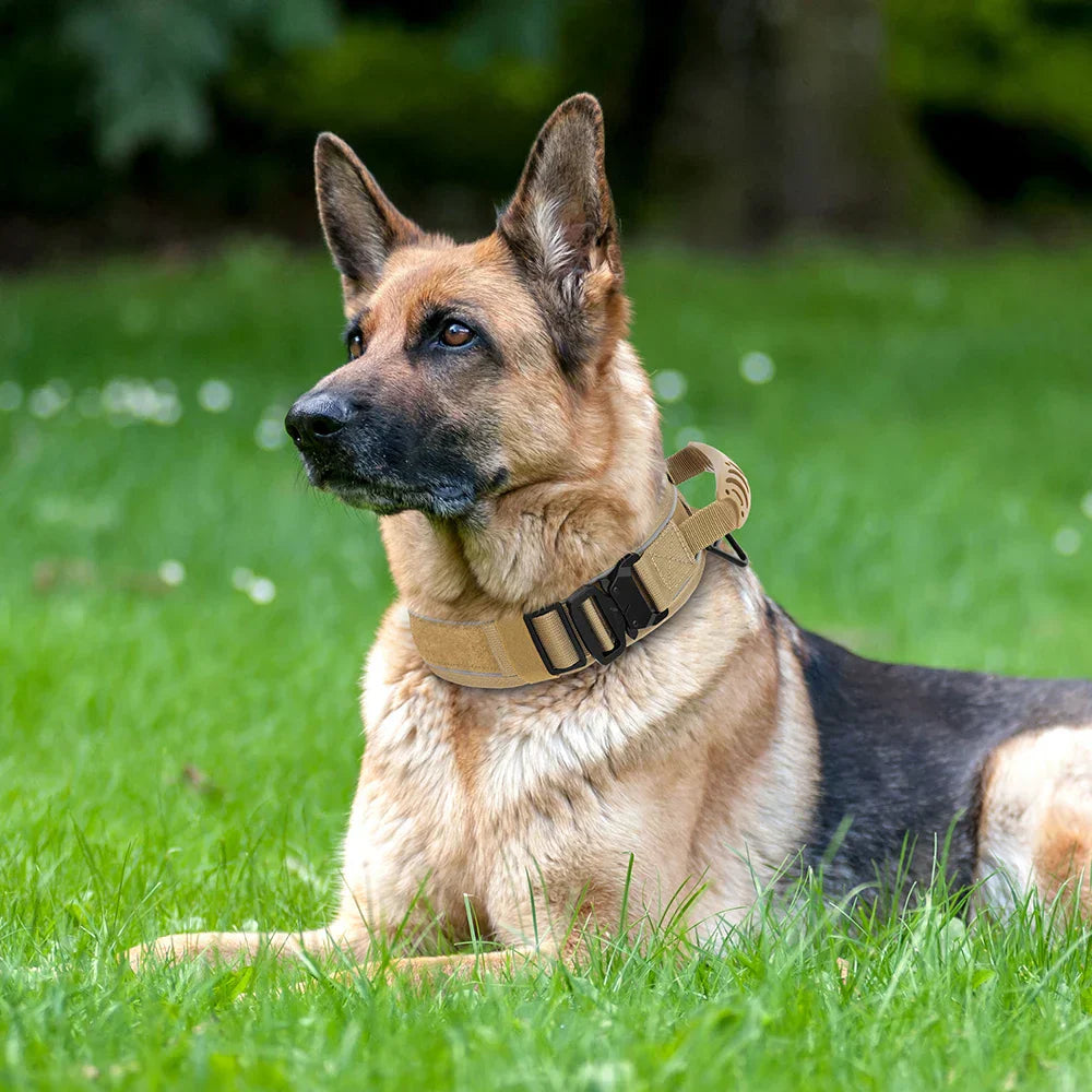 Norvo | Militær hundetrenings halsbånd – Holdbart, reflekterende nylonhalsbånd