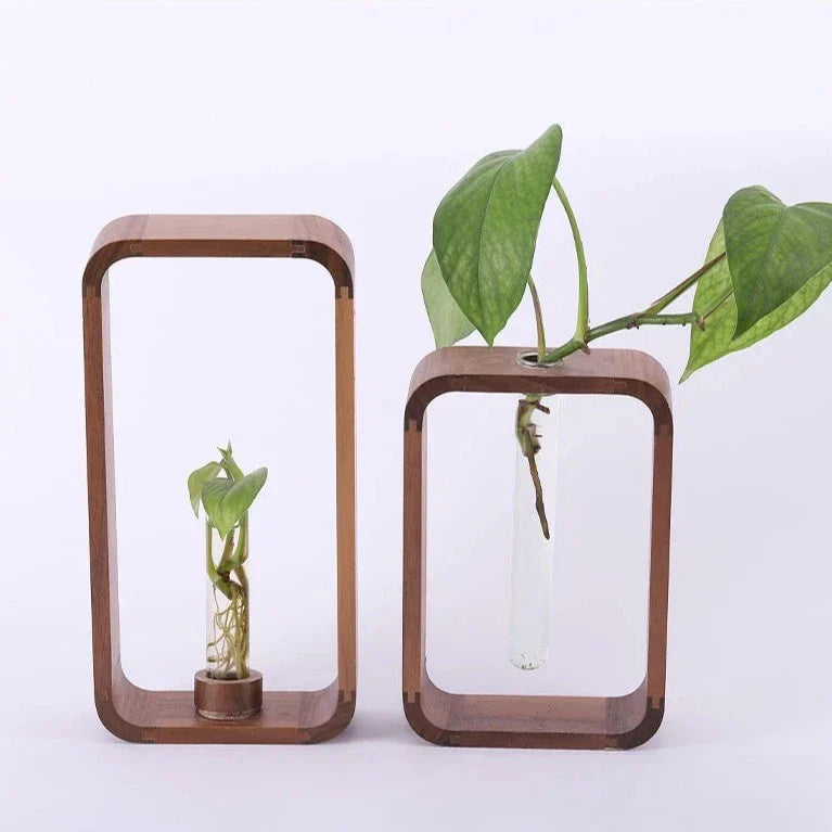 Norvo Hohler Plante Propagator | Dekorativ Plantevekst Stasjon | Perfekt for Hjem og Kontor