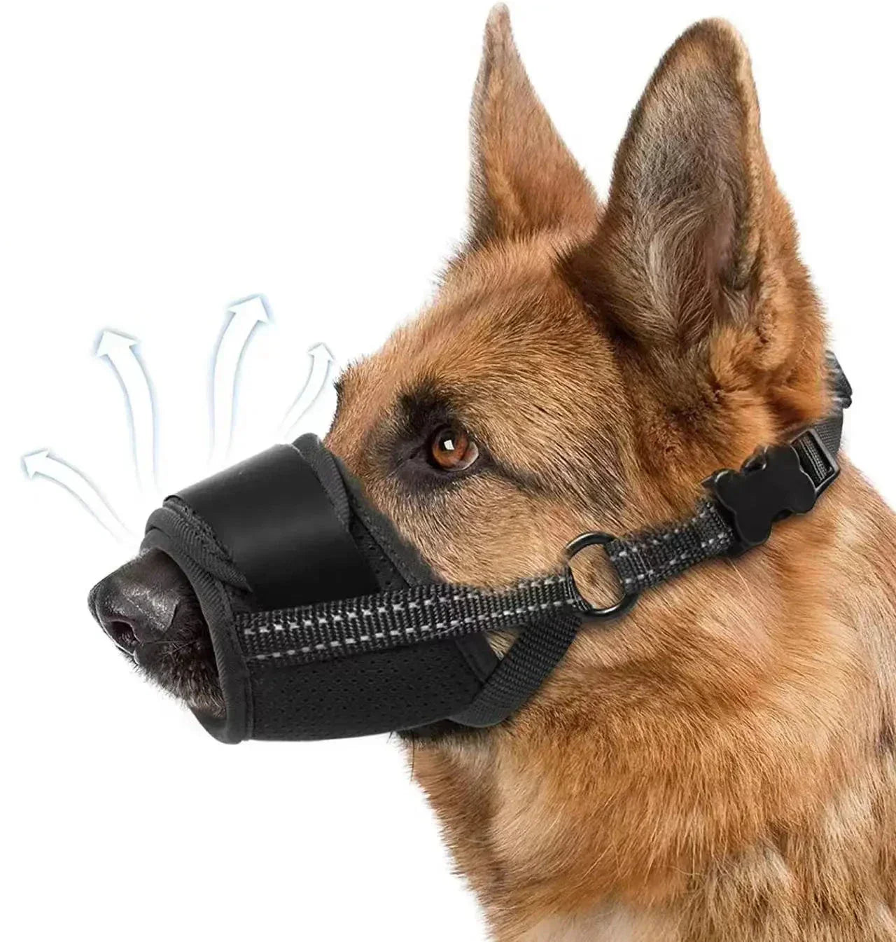 Norvo | Pustende Hundemuzzle