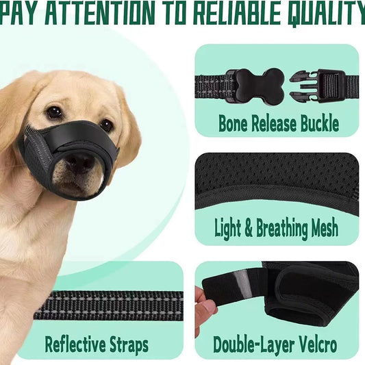Norvo | Pustende Hundemuzzle