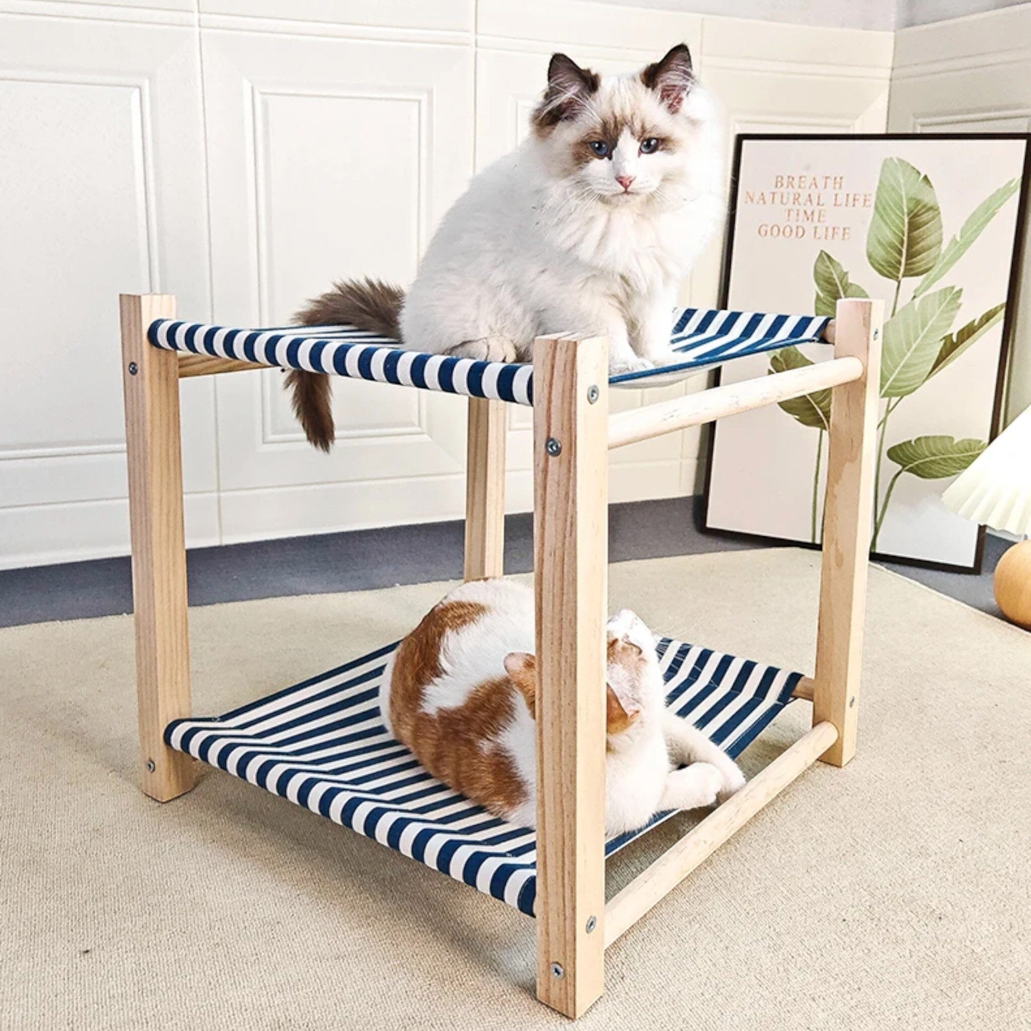 Norvo | SpaRest - Badepute Komfortabel, image size:2048x2048