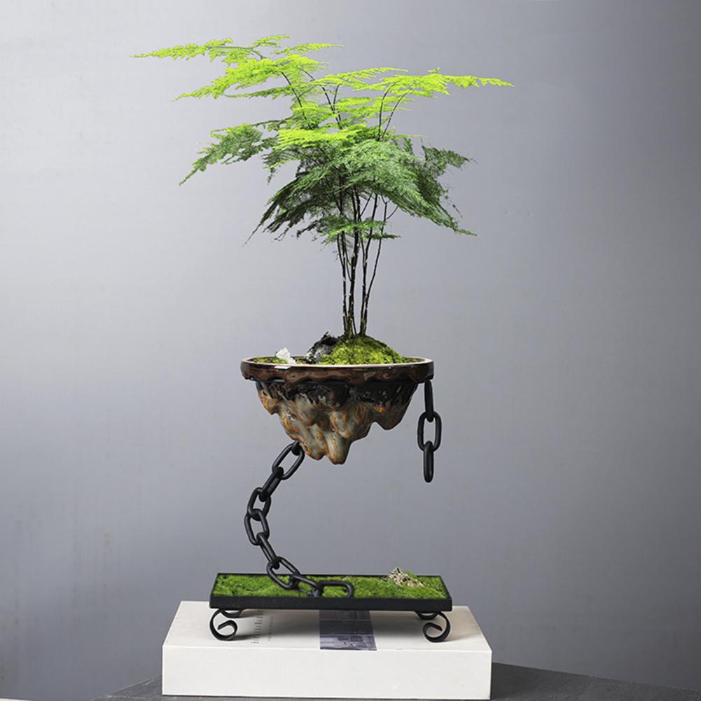 Norvo | Plantepotte Flytende Bonsai Hengende Utstillingsbolle