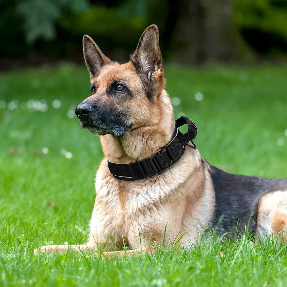 Norvo | Militær hundetrenings halsbånd – Holdbart, reflekterende nylonhalsbånd