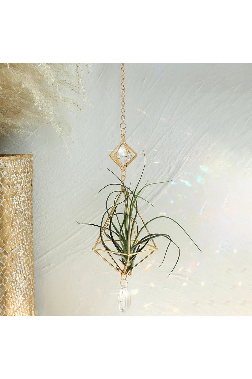Geometrisk Luftplante Solfanger