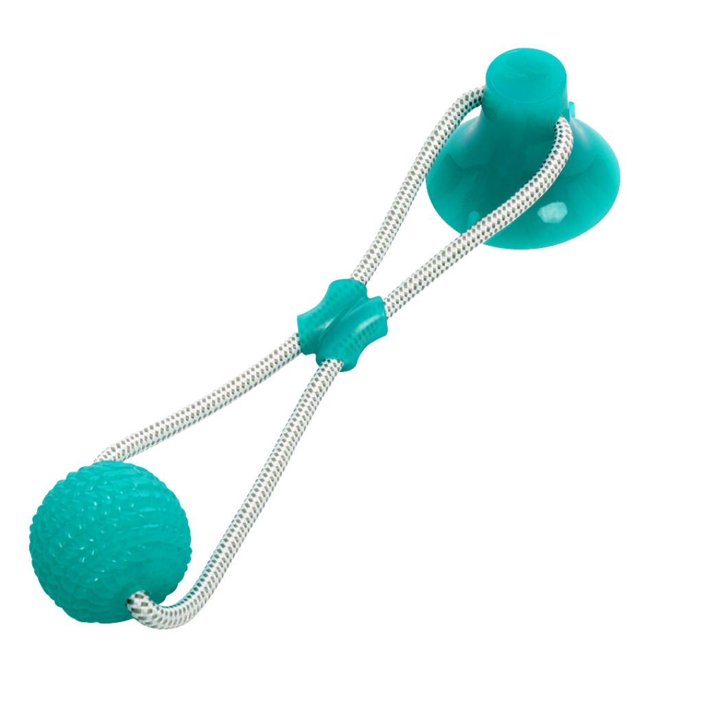 Ball hundeleke med sugekopp til hund