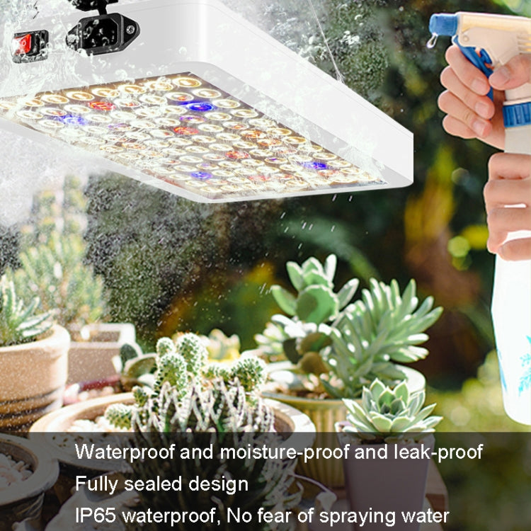 Liten plantevekstlys LED fullspektret fylllys (US-plugg)