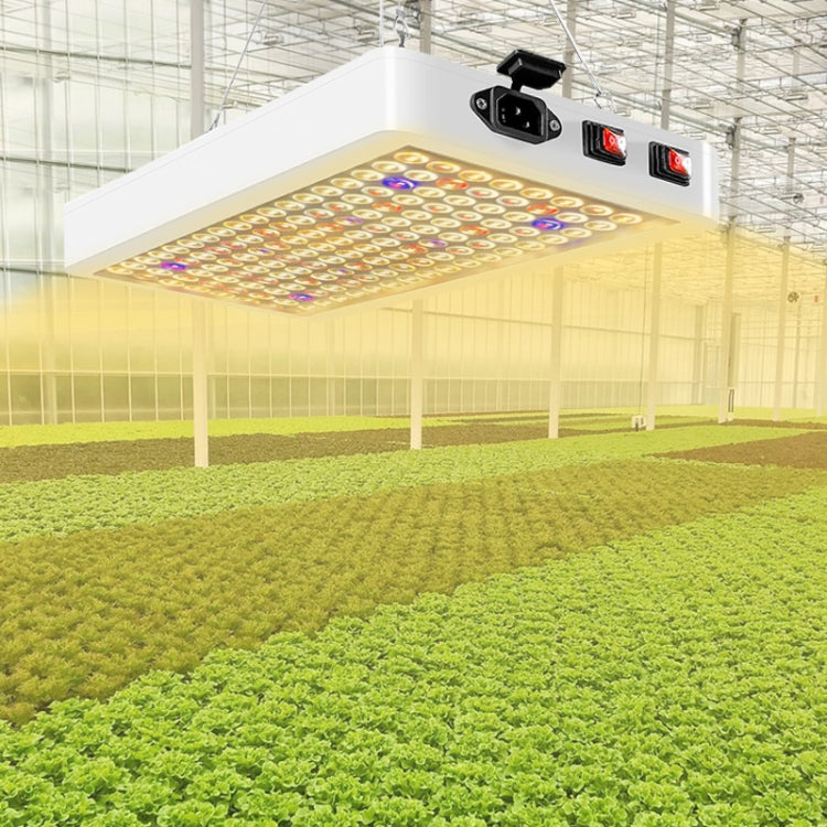 Liten plantevekstlys LED fullspektret fylllys (US-plugg)