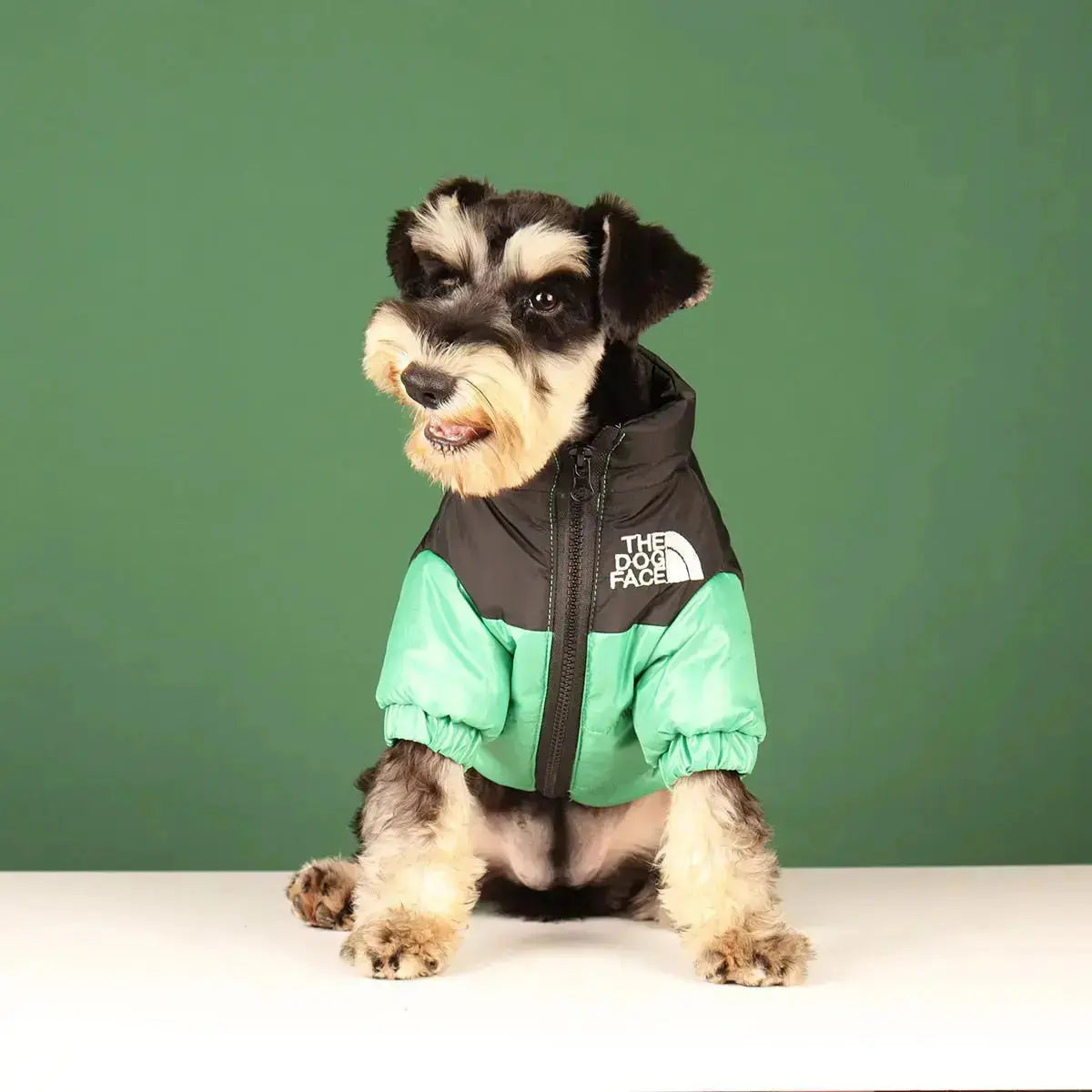 Norvo | The Dog Face Jacket - Type A