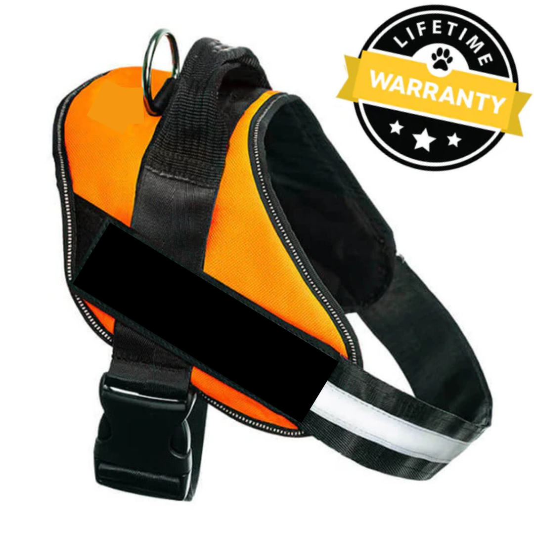 Norvo | Hunder Sele Australia Med Navn