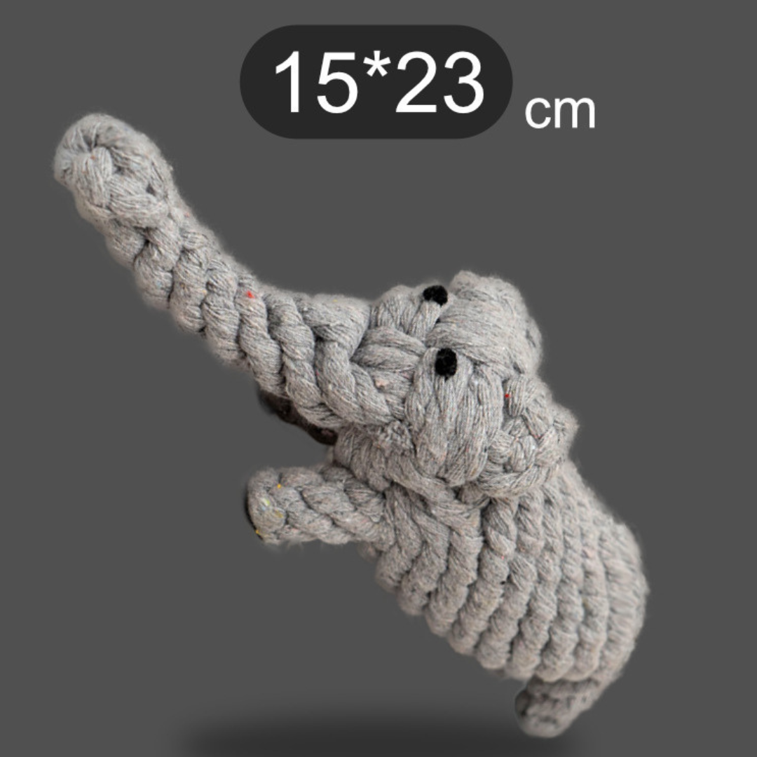 Gulrot bomull tauleke for kjæledyr Norvo