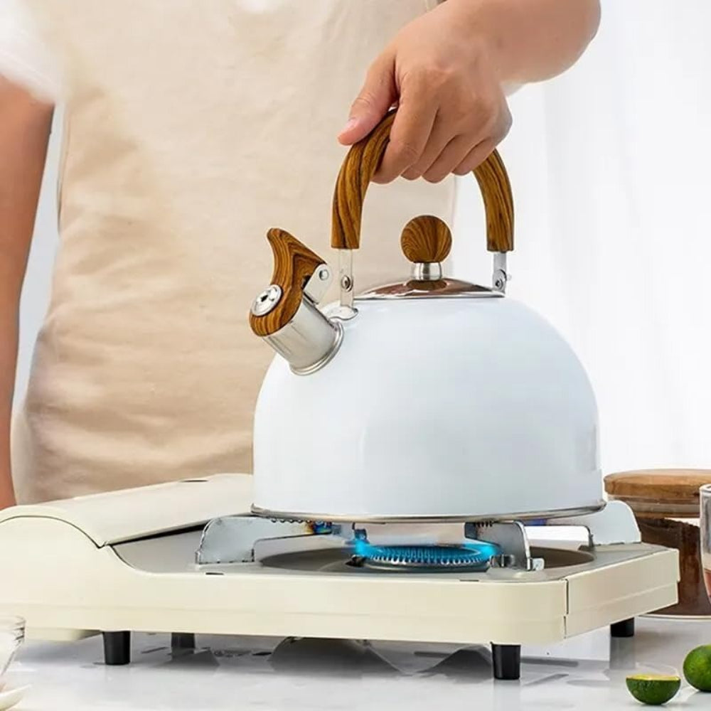 Norvo | Velvettle rustfritt stål fløytekjele – Elegant design, rask koking og induksjonskompatibel (3L)