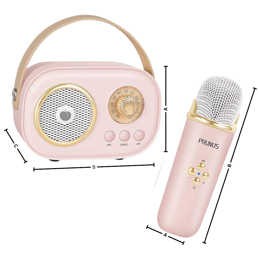 Bluetooth-Mini-Karaoke For Barn Med Dobbel Mikrofon