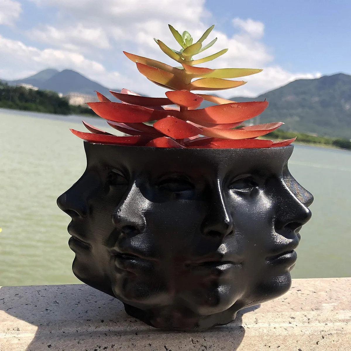 Frendorf | FaceBloom 3D Ansiktsplante