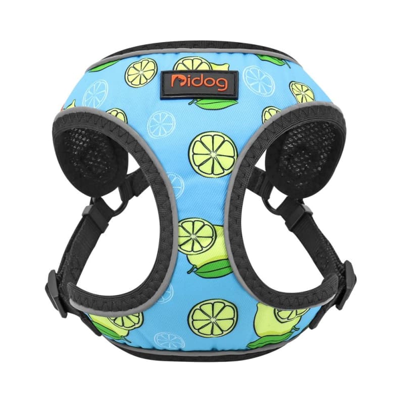 Norvo | Harness Katt Frenchykat