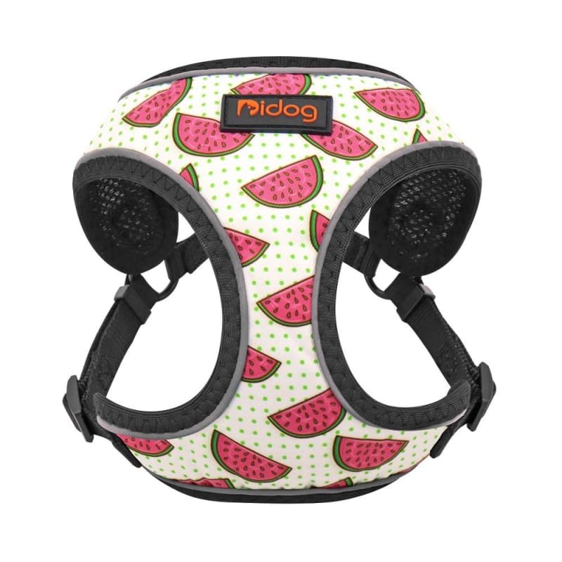 Norvo | Harness Katt Frenchykat