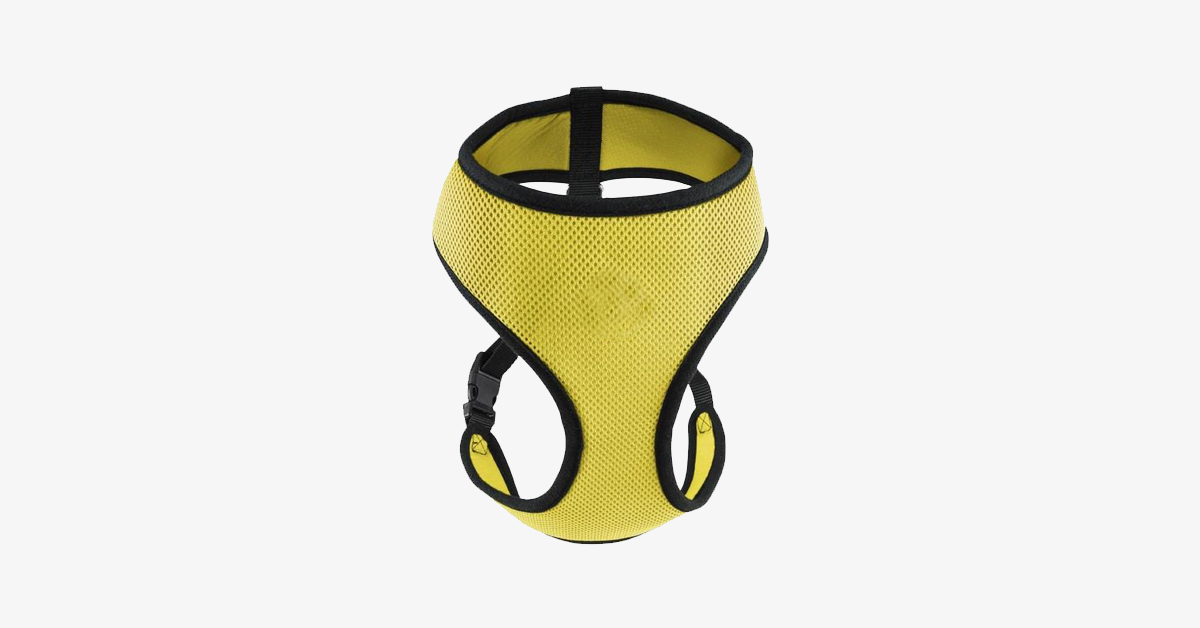 Norvo | Comfort Control Hundesele