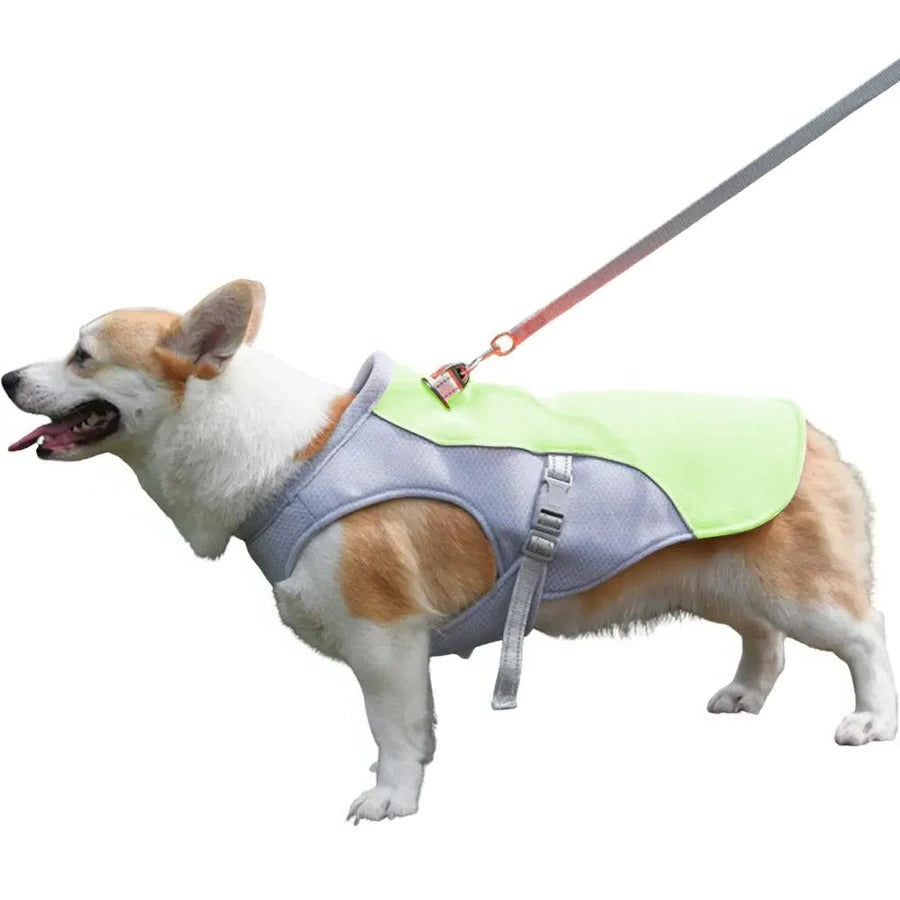 Norvo | Dog Cooling Vest for Outdoor Activities
