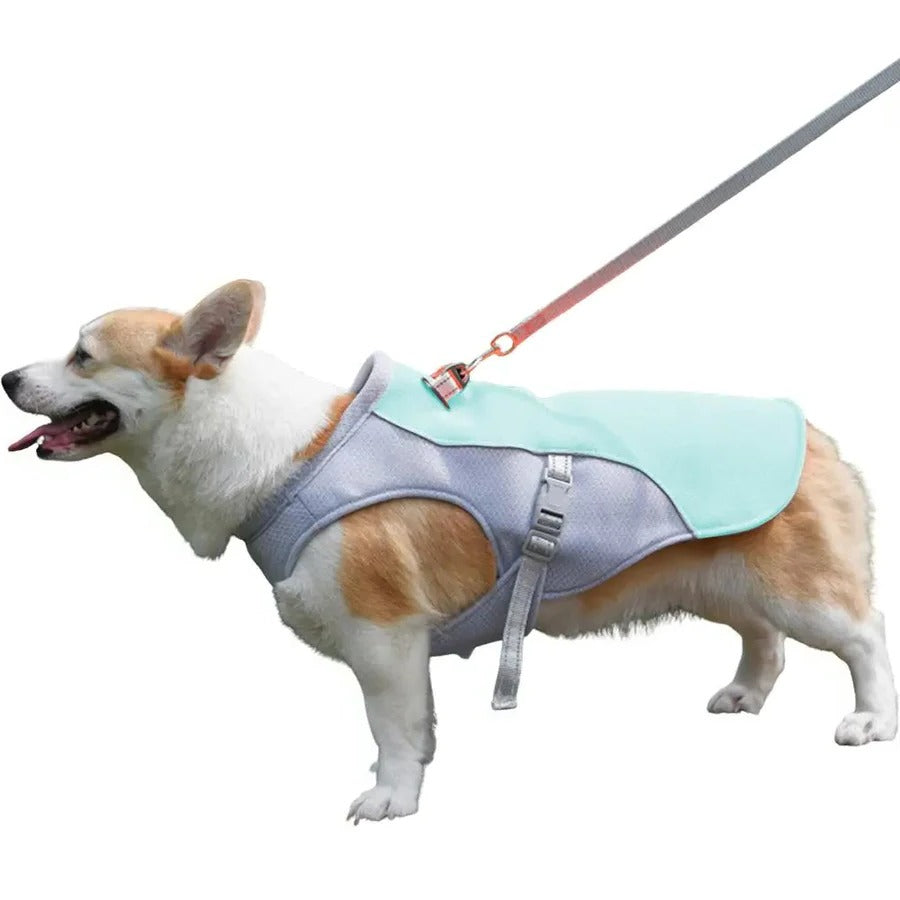 Norvo | Dog Cooling Vest for Outdoor Activities