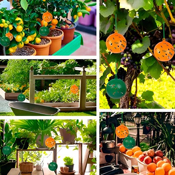 Norvo | Hengende Fluefelle med Klebrige Lag (6 Pcs)