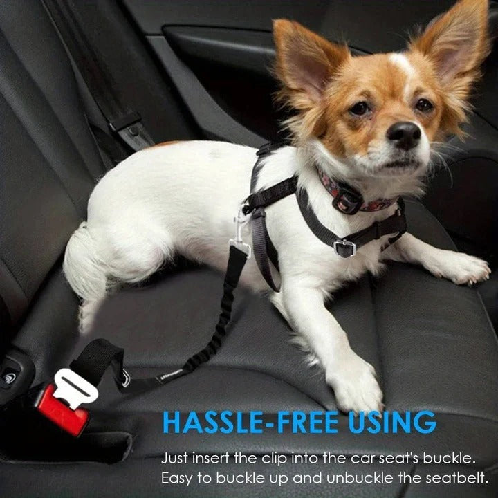 Norvo | Pet Bilsete Belte Sele for Hunder