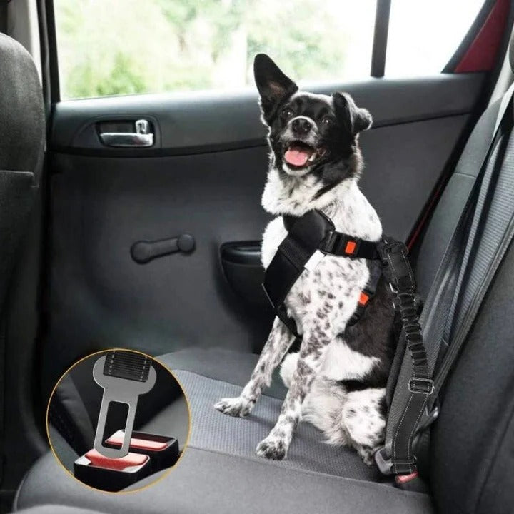 Norvo | Pet Bilsete Belte Sele for Hunder