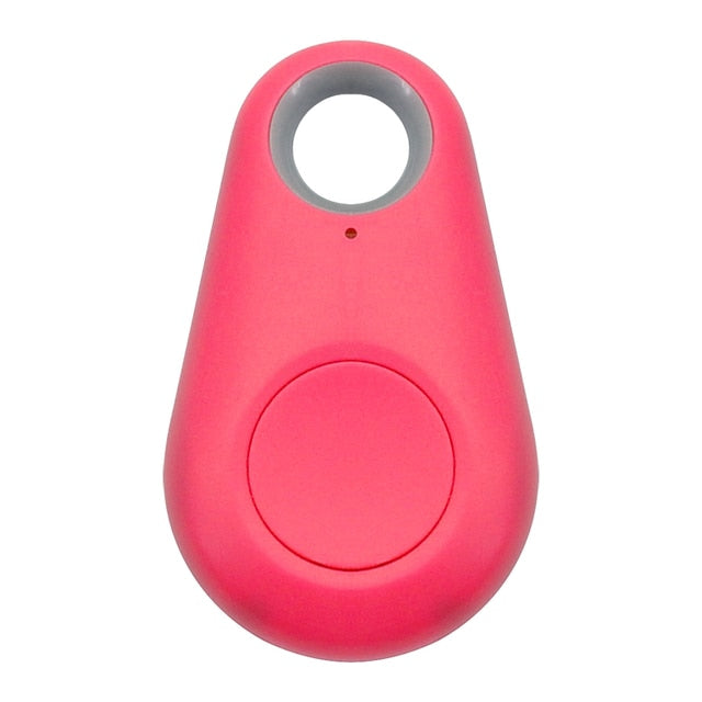 Norvo | Pet GPS Tag - Pawfinder