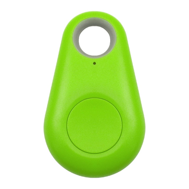 Norvo | Pet GPS Tag - Pawfinder