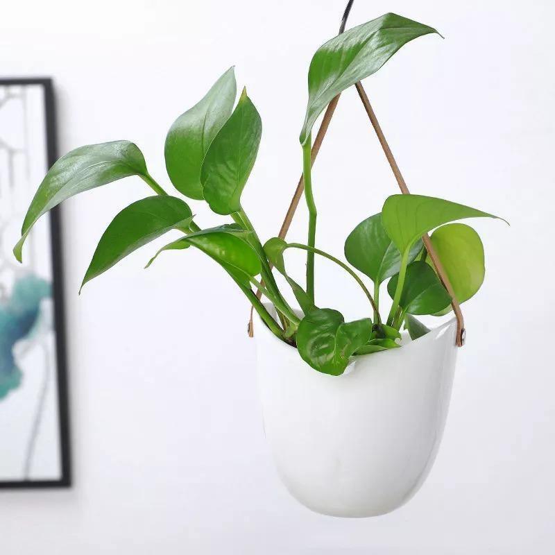 Keramiske blomsterpotter Garduruin bagform | Elegante plante stativer | Hjem og hage dekorasjon