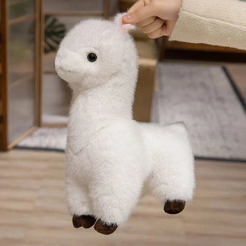 Norvo | Pompom Alpaca Kosedyr Familie