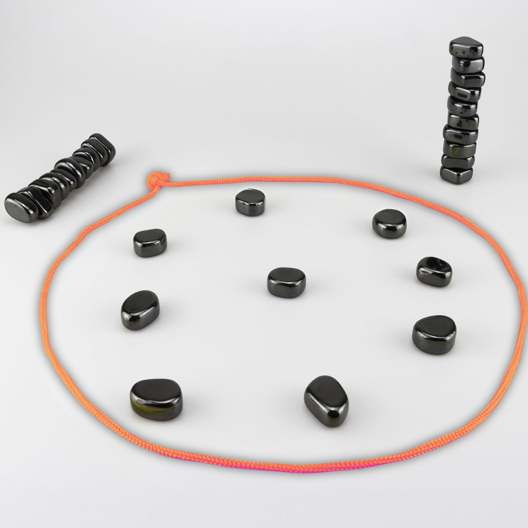 Norvo | Magnetisk Reise Sjakk Sett for Smart Underholdning - CheckMate