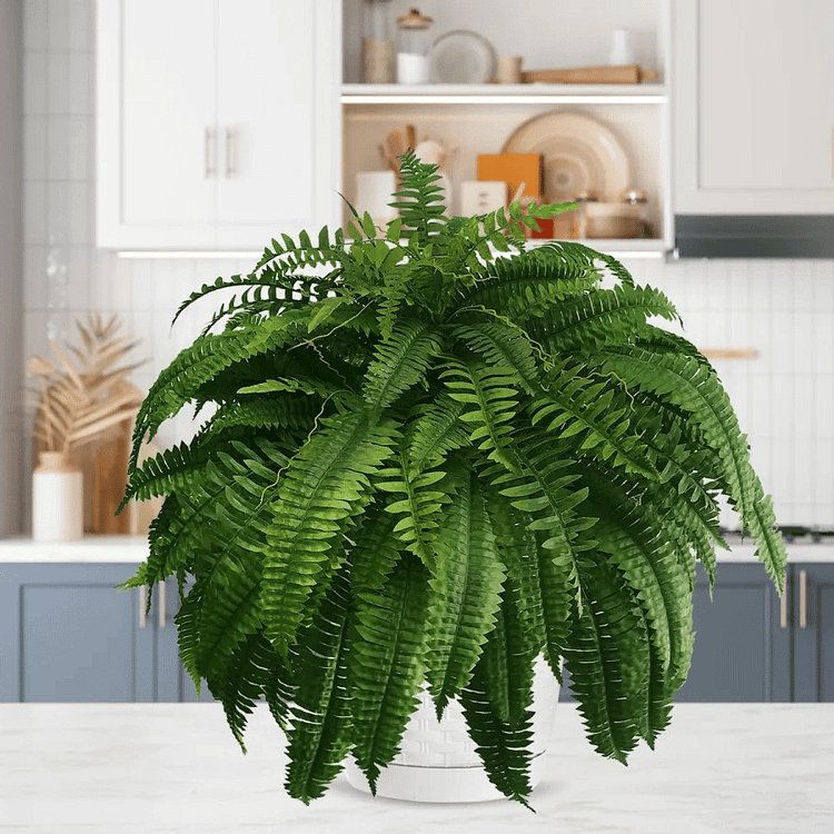 Norvo | UV Resistens Kunstig Boston Fern | Livaktig, Vanntett & Vedlikeholdsfri for Utendørs Dekor