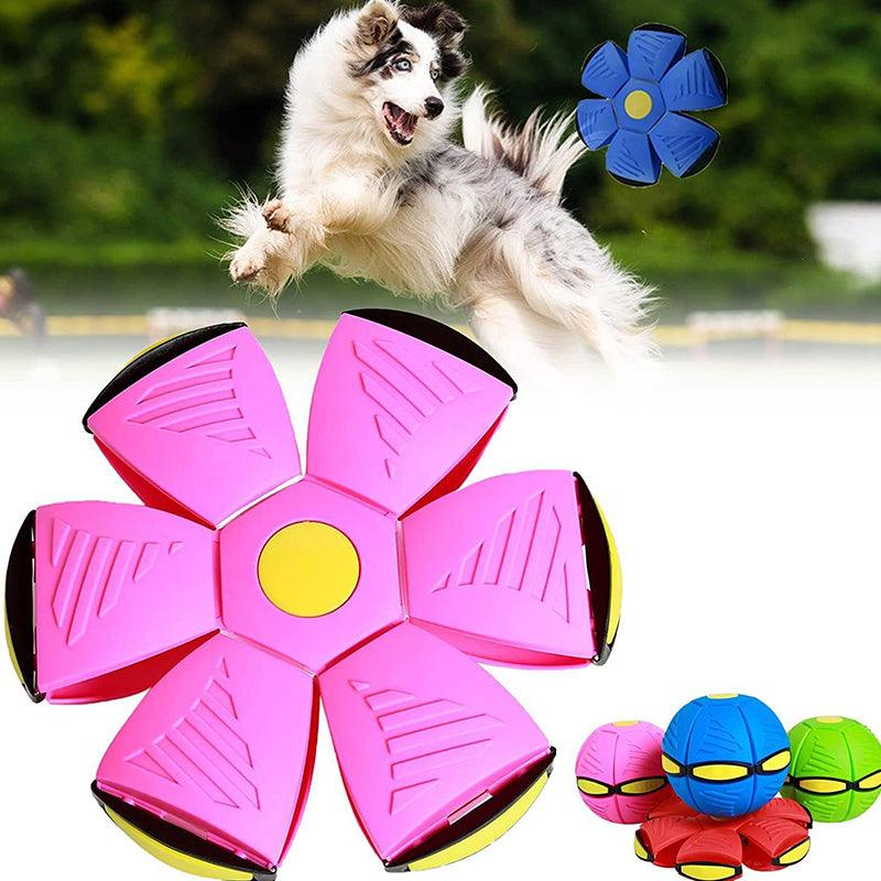 TurboFly – Ultimate Pet Flying Disc Norvo