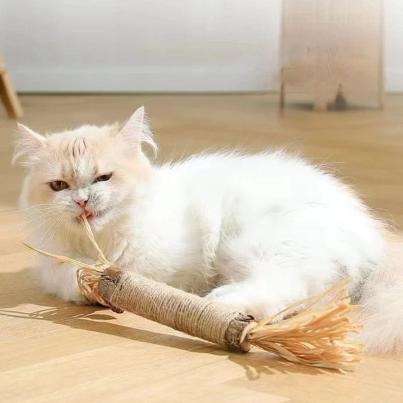 Norvo | Kattmynte Katt Leketøy Naturlig Matatabi Kjæledyr Katt Snacks Stang Renser Tann Fjerner Hår for å Fremme Fordøyelsen Sølvvin Kattunge Koseleketøy
