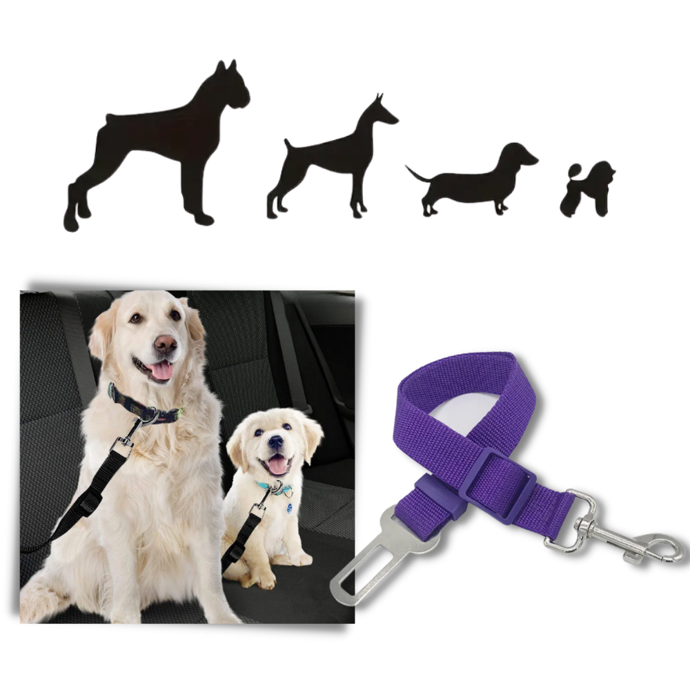 Premium bilbelte for kjæledyr og hund