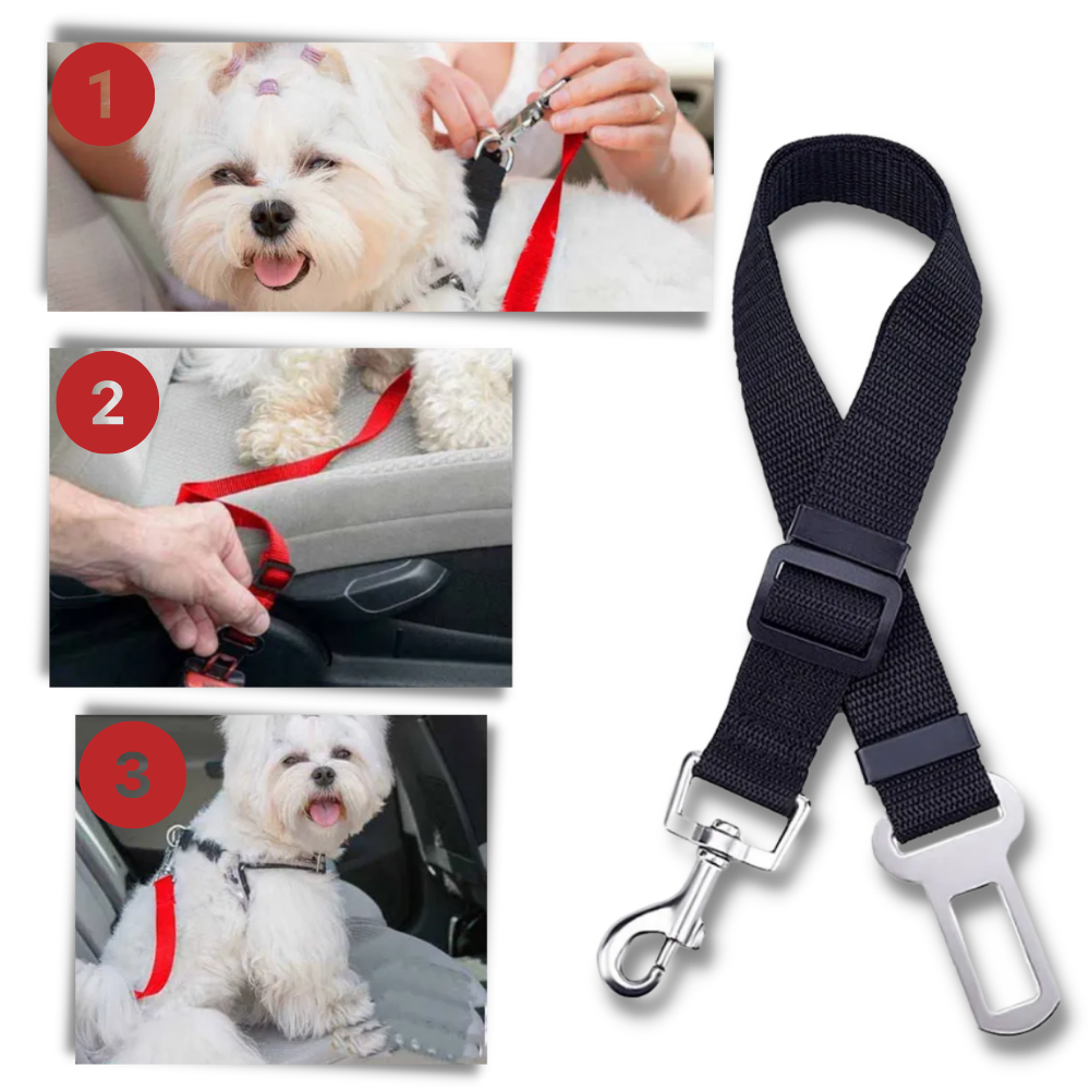 Premium bilbelte for kjæledyr og hund