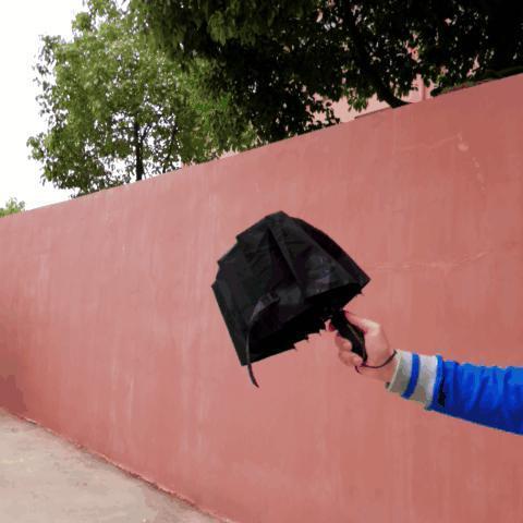 Norvo | Luksus Automatisk Åpen & lukke Paraply Sammenleggbart Vindvann Motstandsdyktig