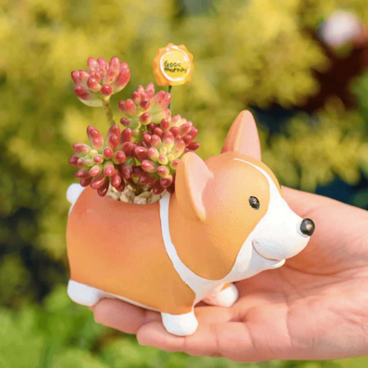 Norvo | Harpiks Corgi Mini Blomsterkrukke