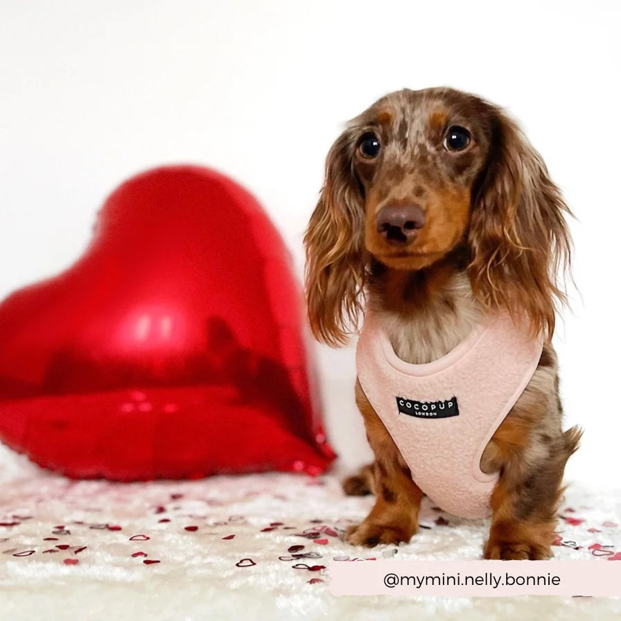 Norvo | Rosa teddy hundesele med god passform