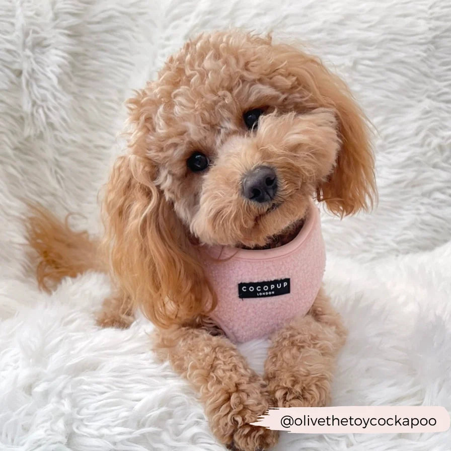 Norvo | Rosa teddy hundesele med god passform