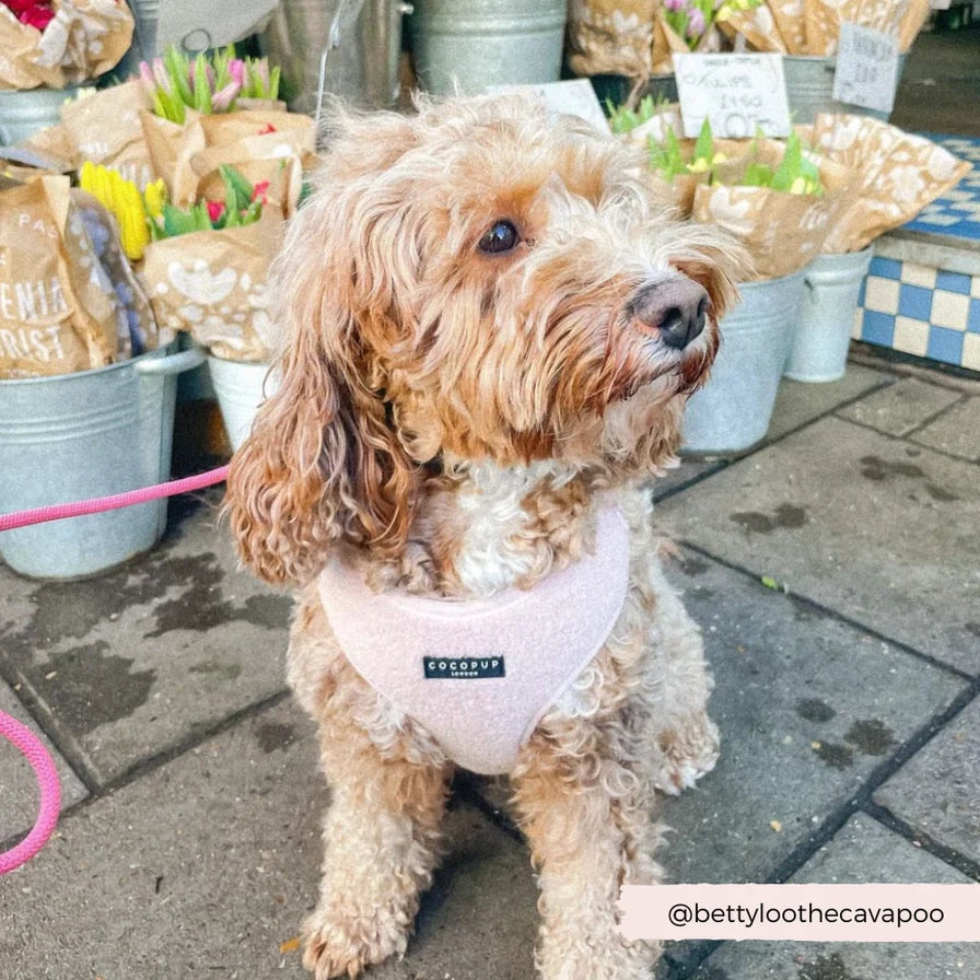 Norvo | Rosa teddy hundesele med god passform