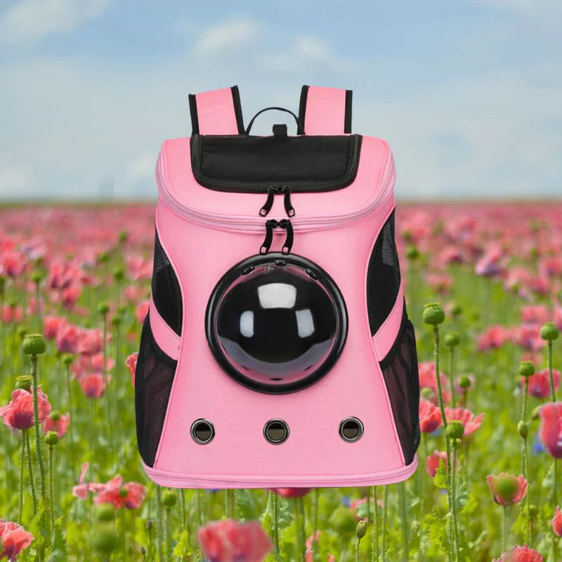 Kattreisebag – PurrTrek Norvo