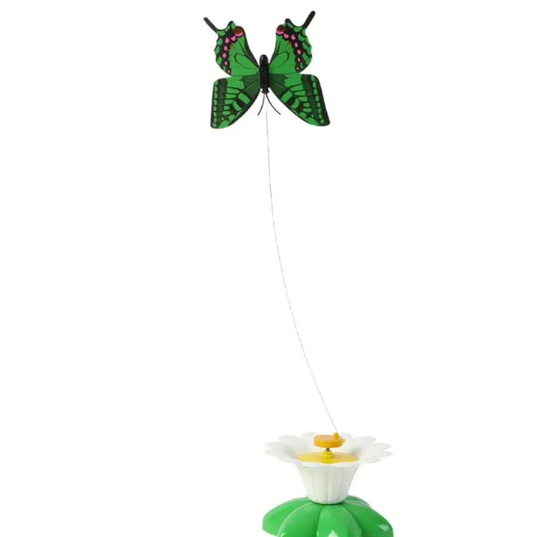 Butterfly Toy For Cats Norvo