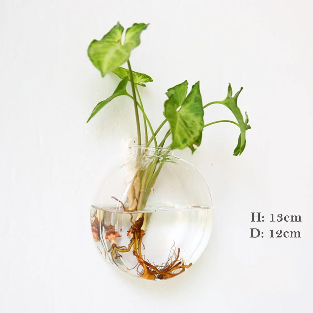 Norvo | Veggvase laget av glass