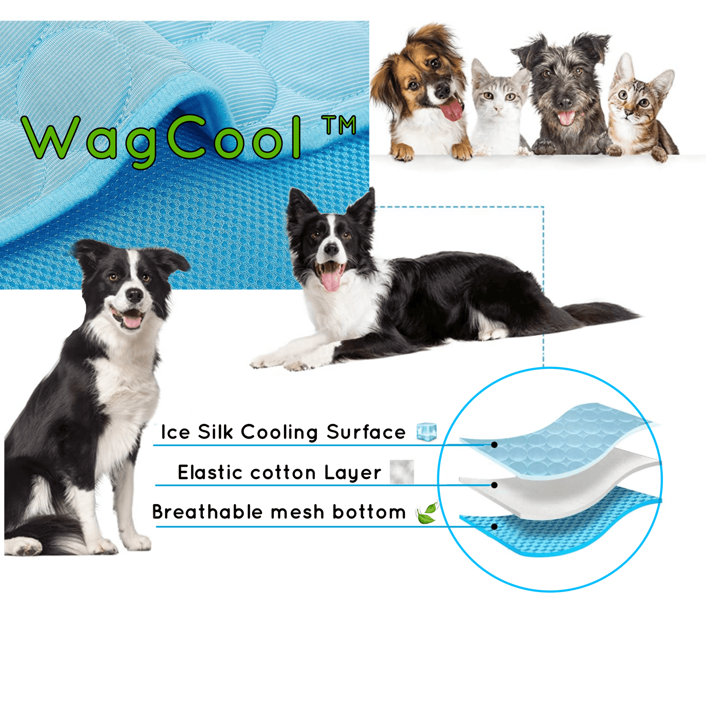 Norvo | Kjølende Hundematte - Coolpet Mat